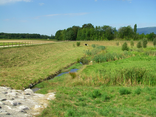 Aménagement d'un bassin de rétention au chemin de la Fenière - Collex-Bossy