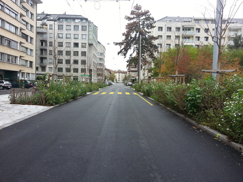 Aménagement routier - Rue de Saint-Jean - Genève